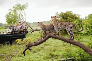 Yala National Park